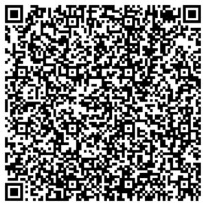 vCard_Spies